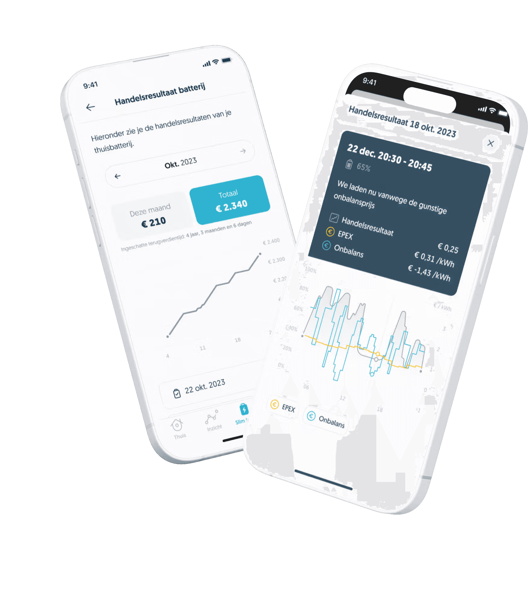 Thuisbatterij categorie